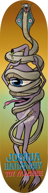 https://www.ed-templeton.com/files/gimgs/th-96_Cobra Rattler snake sect Graphic.jpg