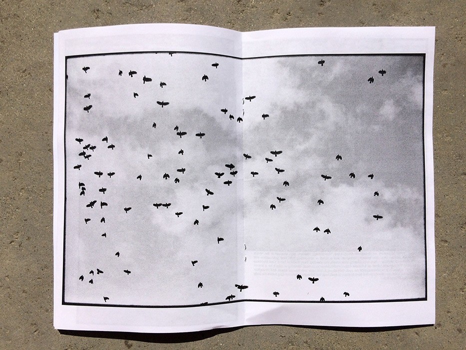 https://www.ed-templeton.com/files/gimgs/th-147_Disneyland_10.jpg