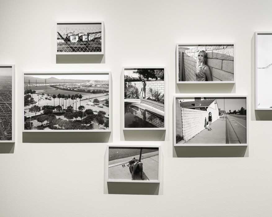 https://www.ed-templeton.com/files/gimgs/th-163_ThisLand-19.jpg