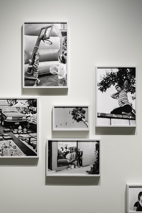 https://www.ed-templeton.com/files/gimgs/th-163_ThisLand-26.jpg