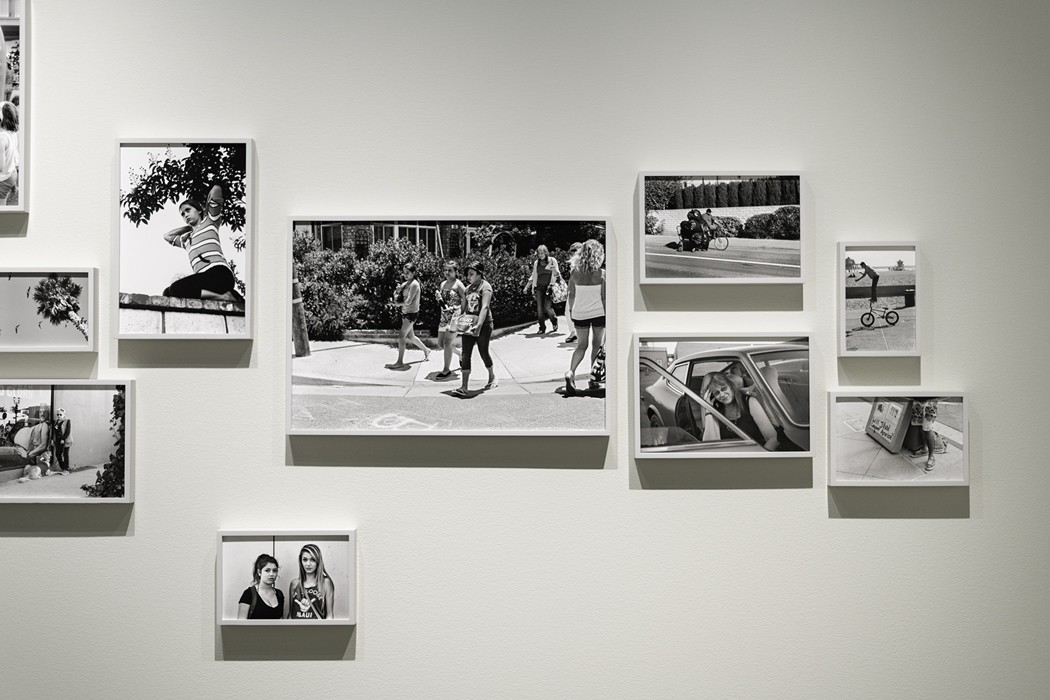 https://www.ed-templeton.com/files/gimgs/th-163_ThisLand-28.jpg