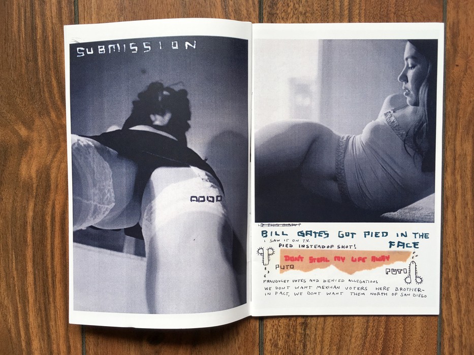 https://www.ed-templeton.com/files/gimgs/th-172_VIKADIN03.jpg