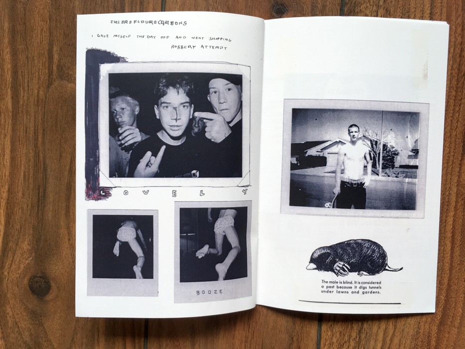 https://www.ed-templeton.com/files/gimgs/th-172_VIKADIN11.jpg