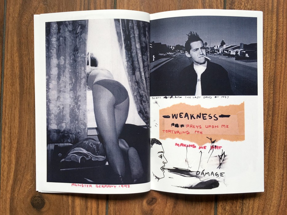 https://www.ed-templeton.com/files/gimgs/th-172_VIKADIN14.jpg