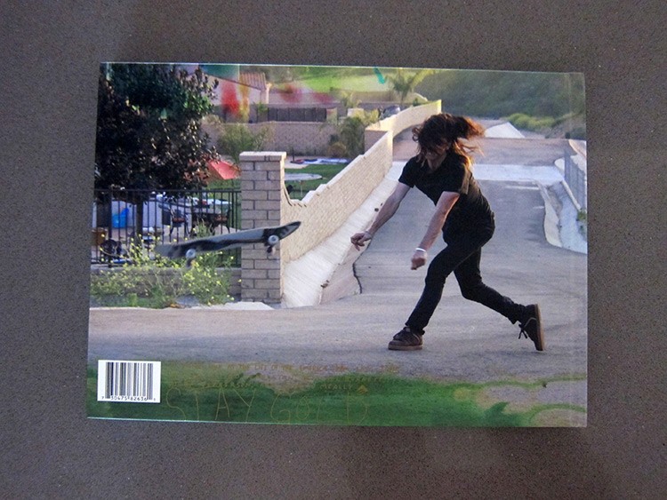 https://www.ed-templeton.com/files/gimgs/th-76_Stay-Gold-back-cover_v2.jpg