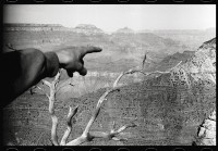 https://www.ed-templeton.com/files/gimgs/th-156_Keegan-points-Grand-Canyon.jpg